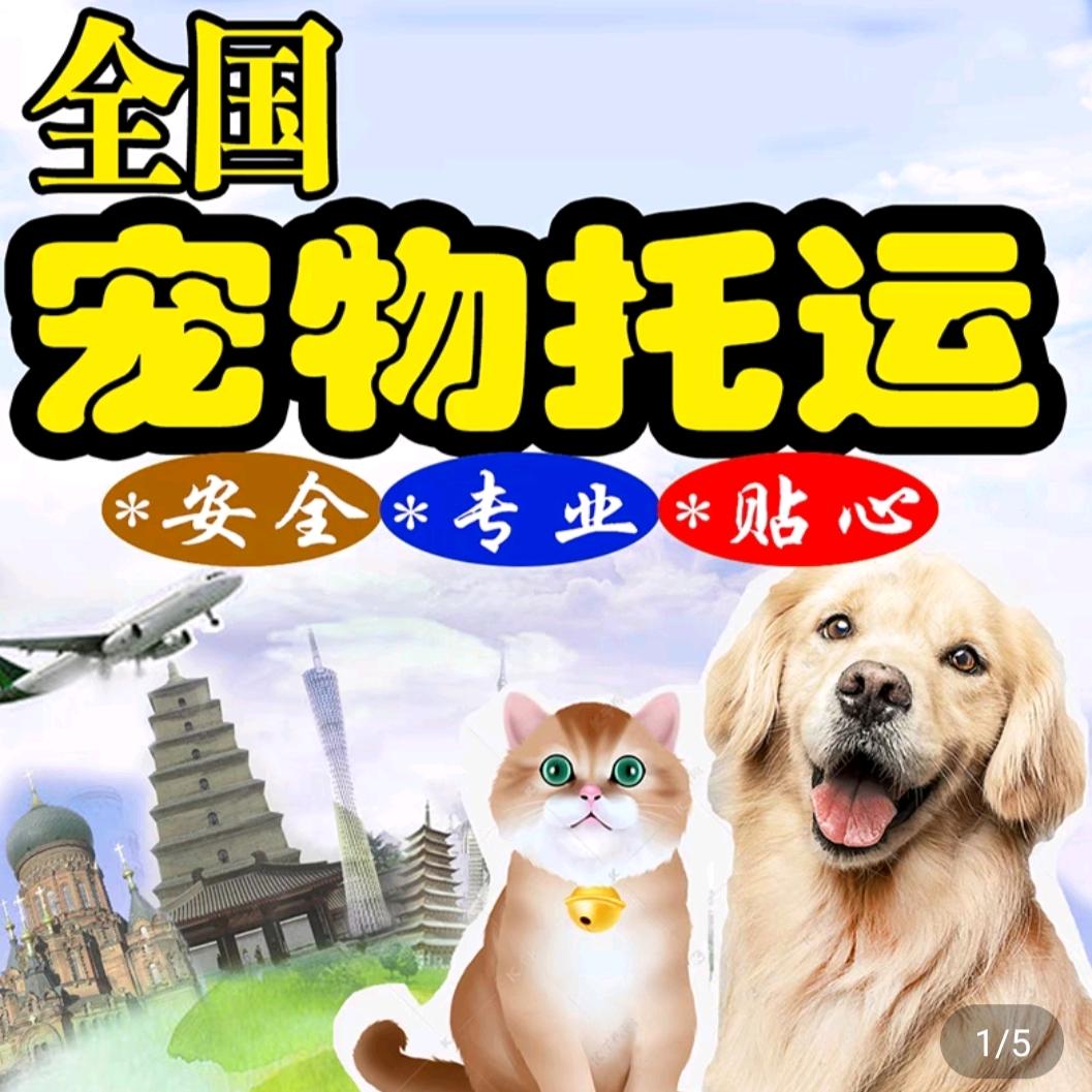金顺宠物全国连锁托运