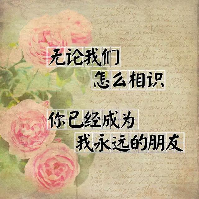 小萍818✨