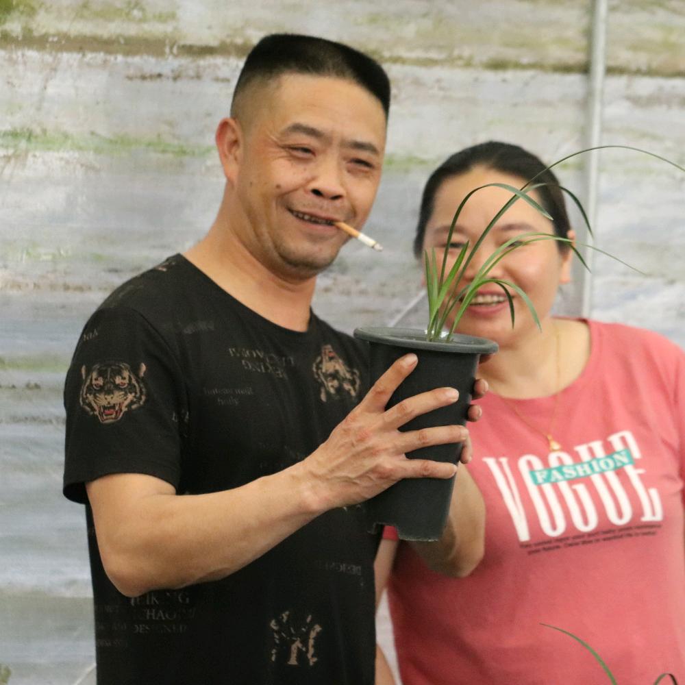 蔺州兰痴