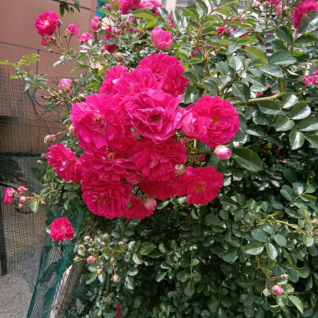 幸福一家^0^