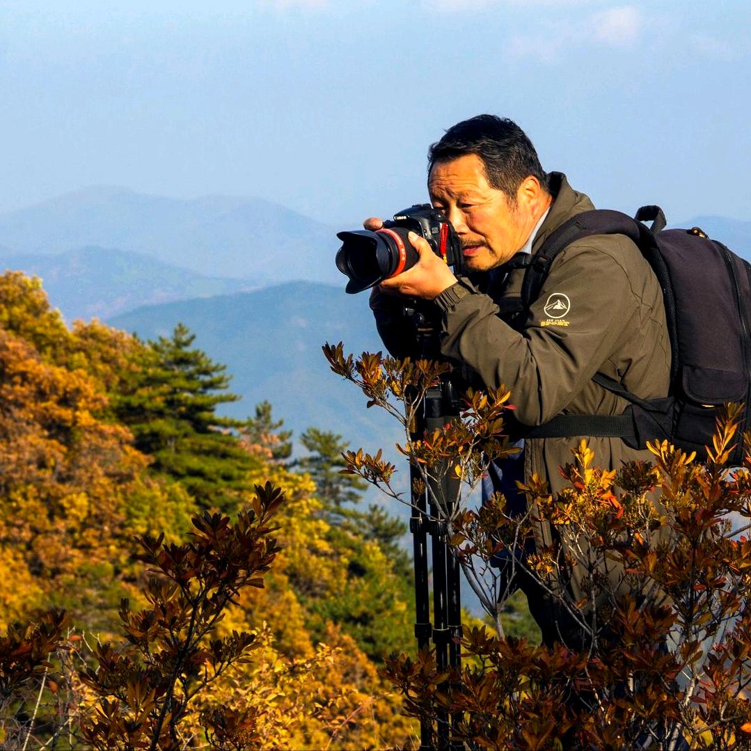 江边枫叶