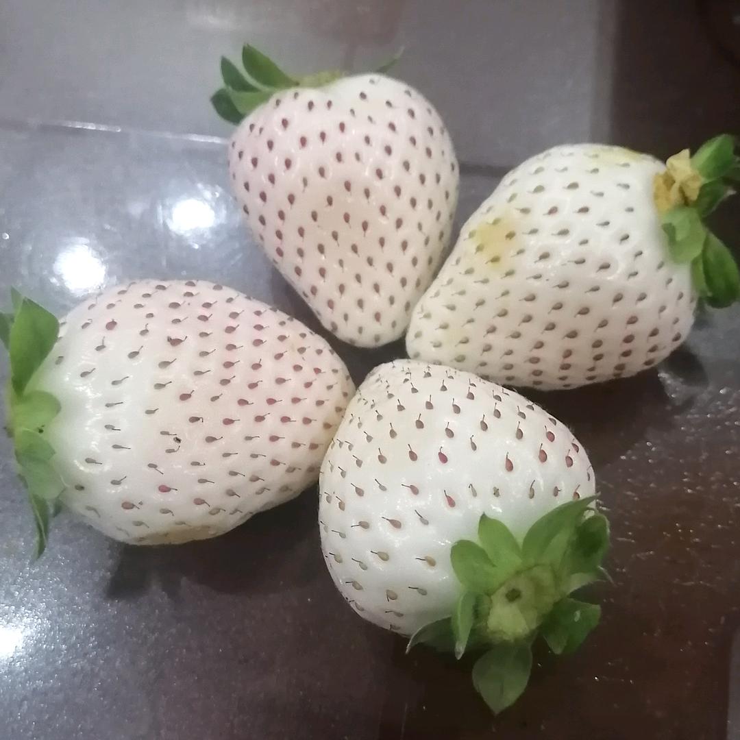 顺利女装