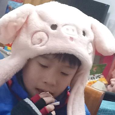 李伯侠