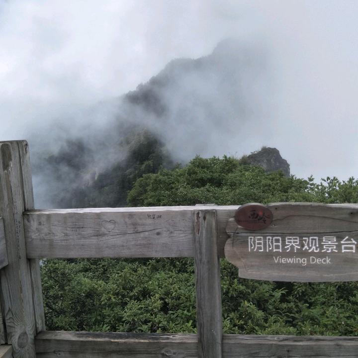 胡涛