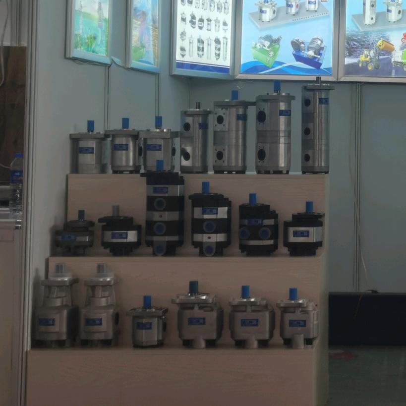 齿轮泵河北众乐