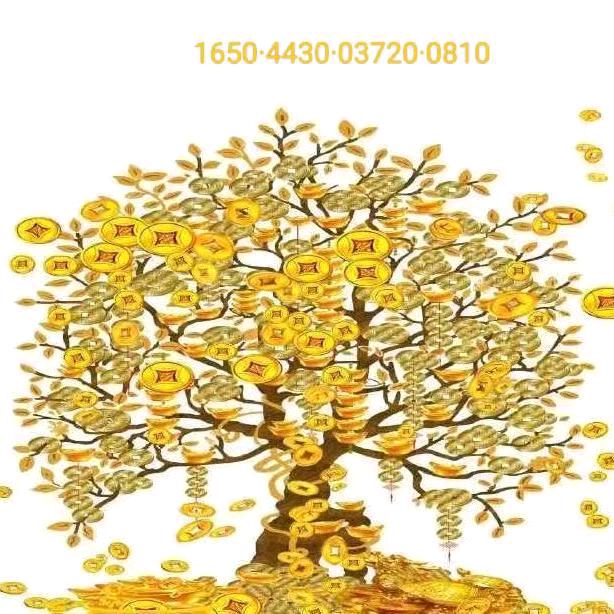 🌷香香缝补小商品