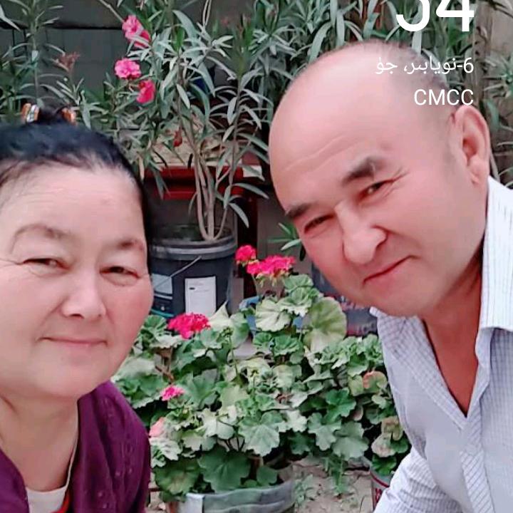 图尔迪
