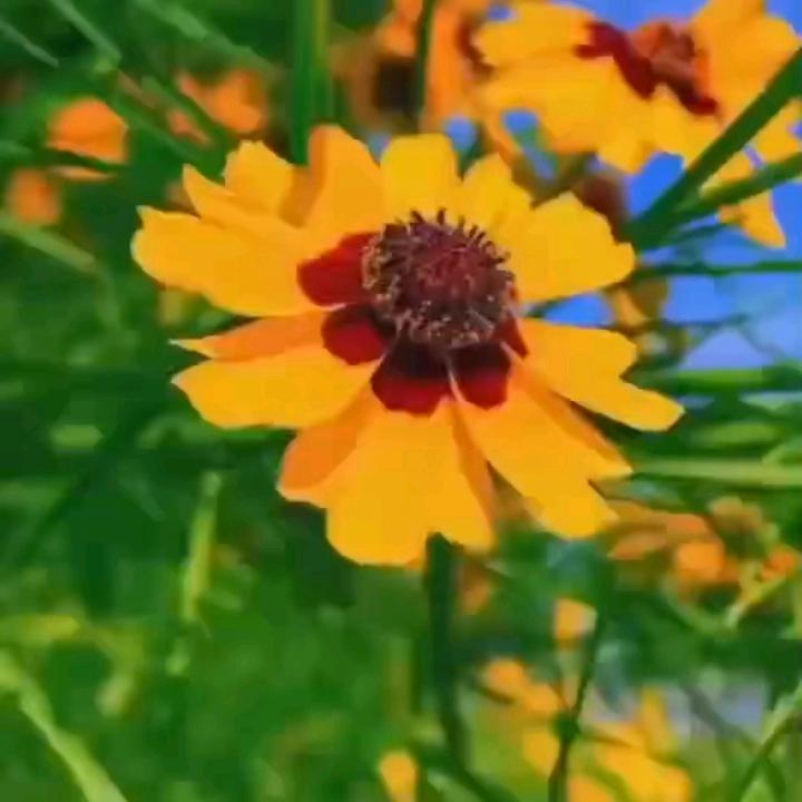 娟海,
