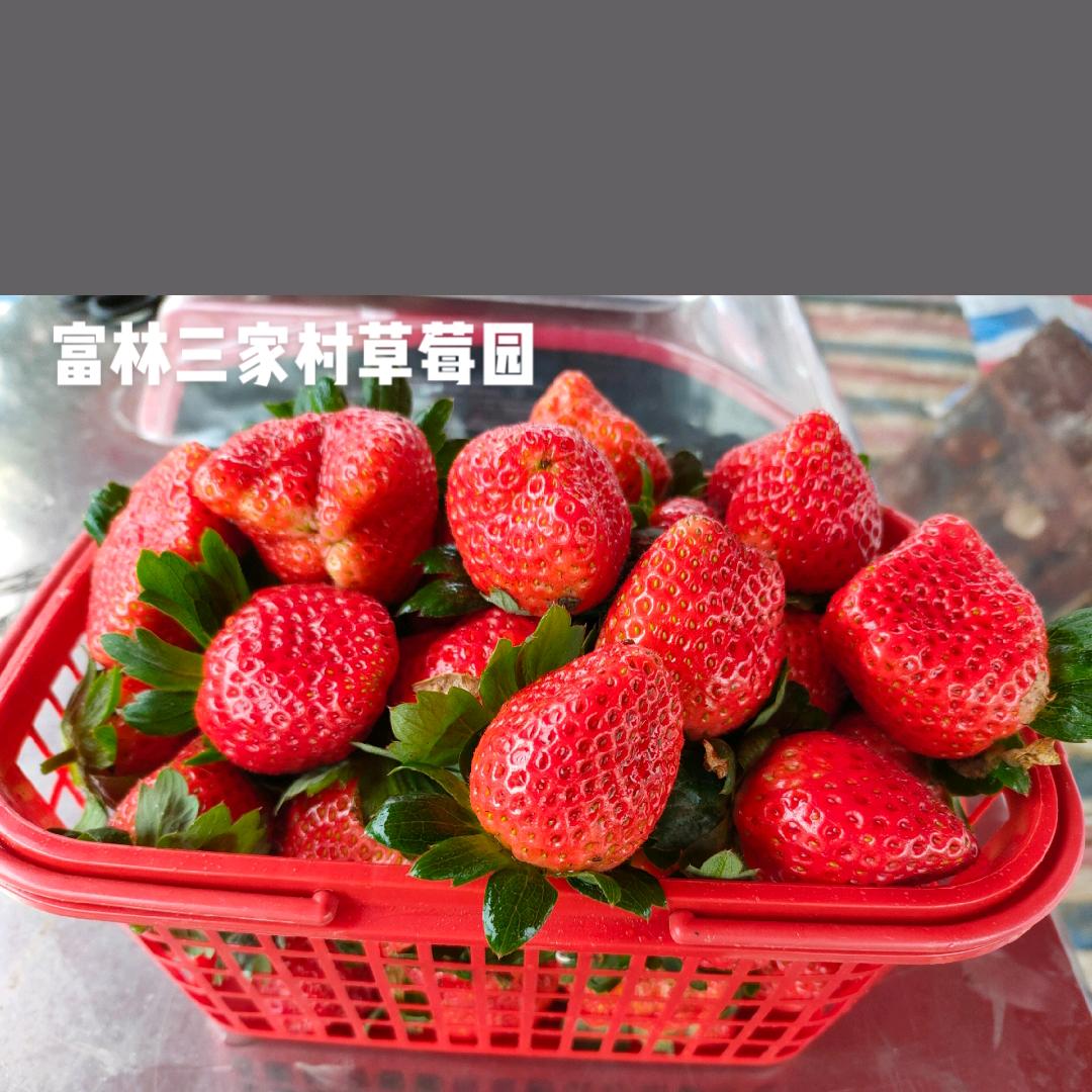 陌潇陈