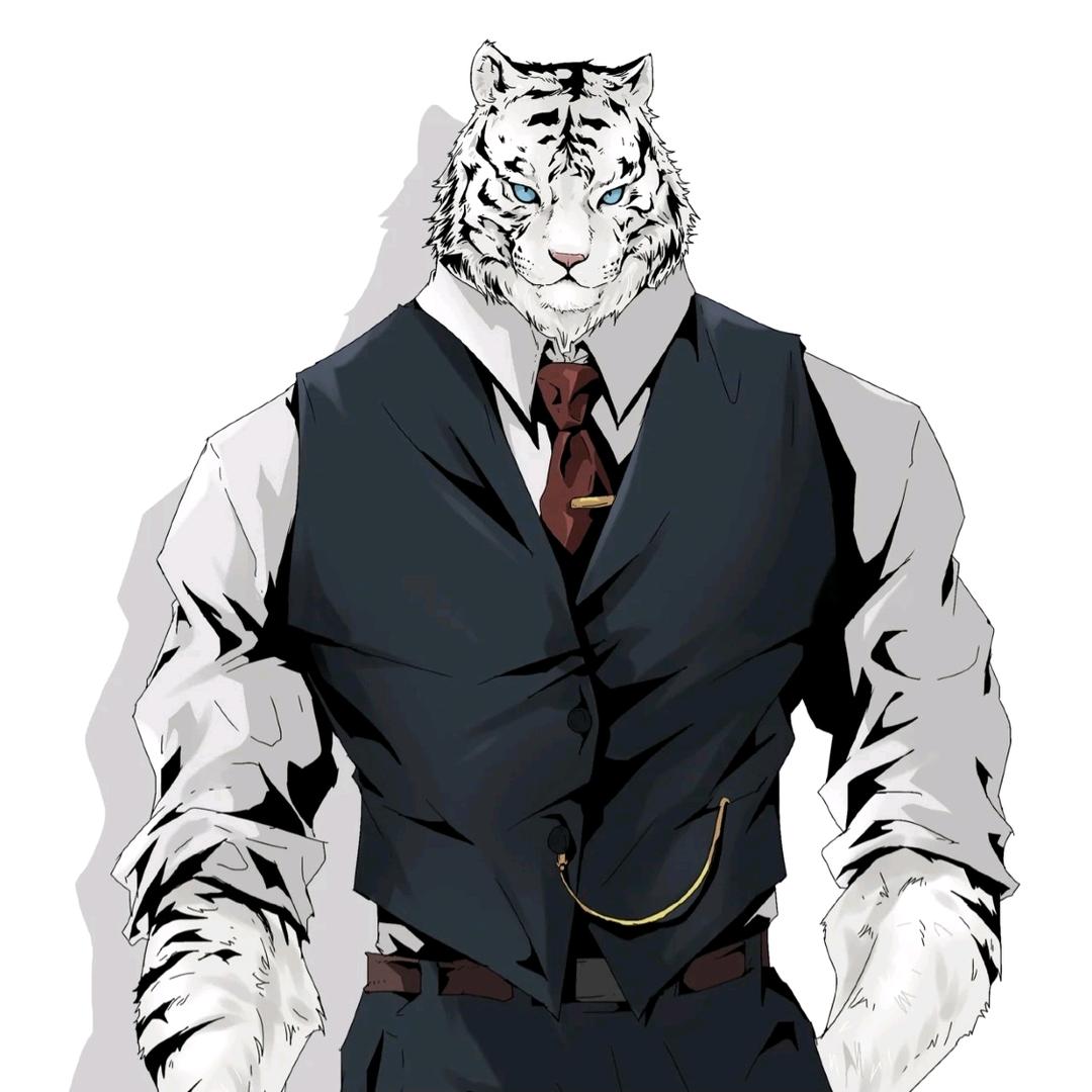 坚果