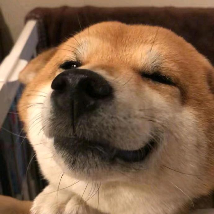 小啊金