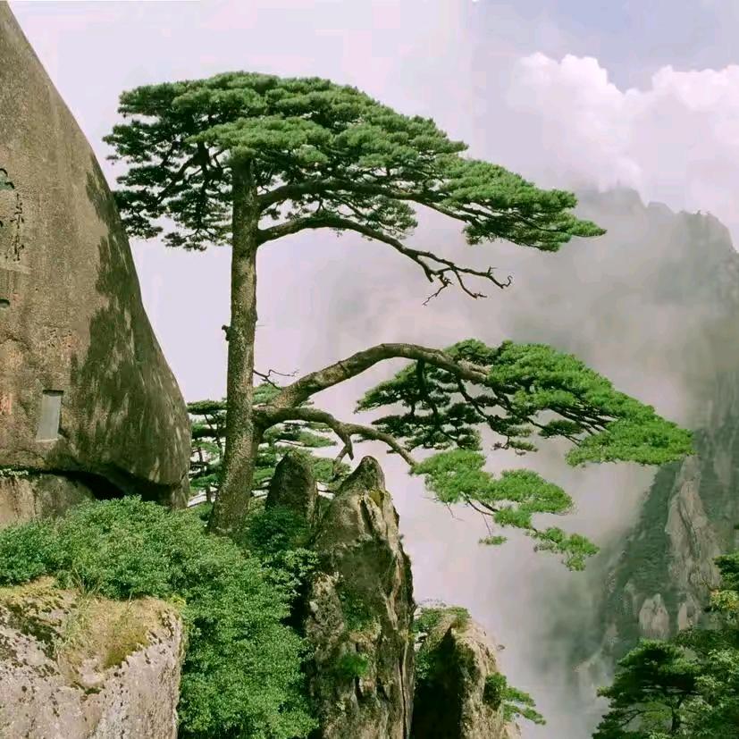 @💞ꦿ᭄࿆汇成❤果园💞ꦿ᭄ཽ࿆