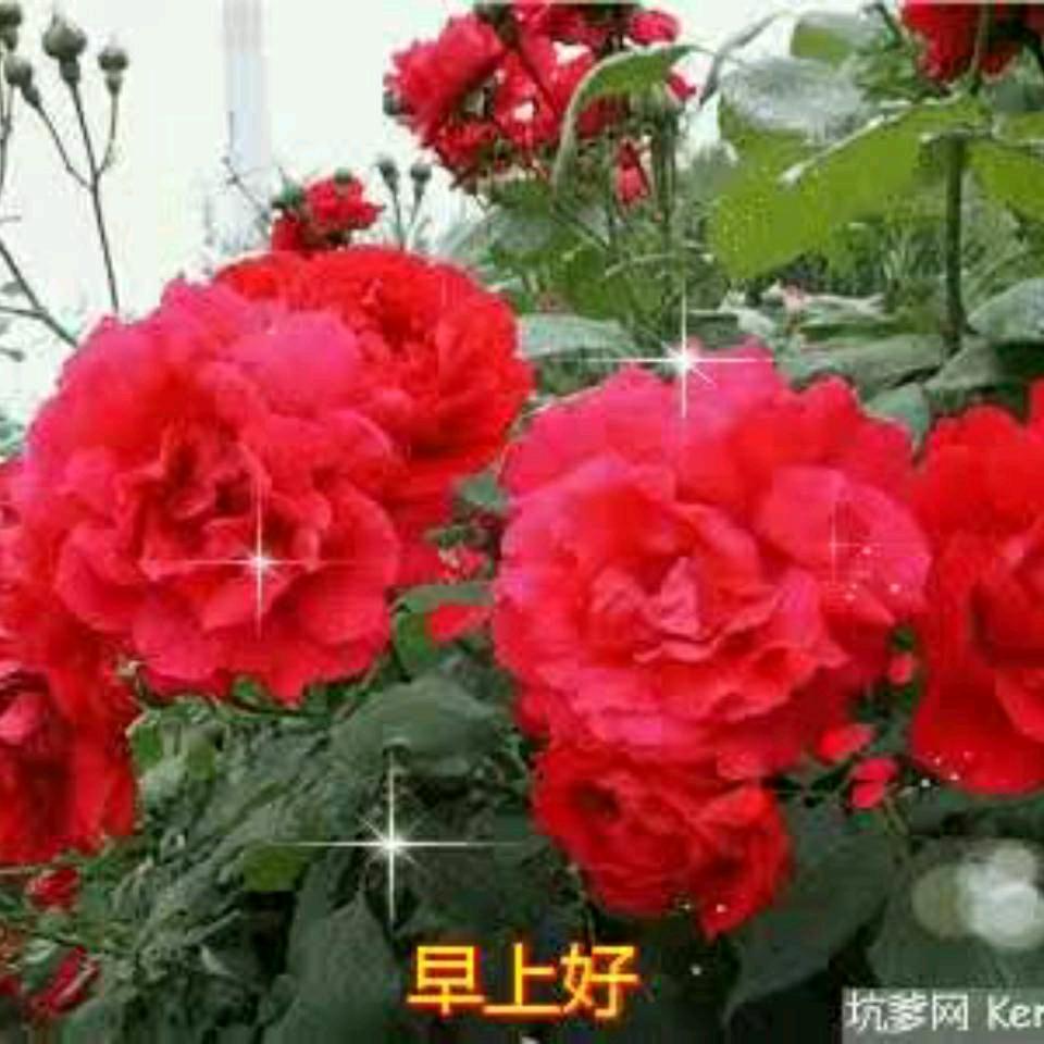 用户225842382247