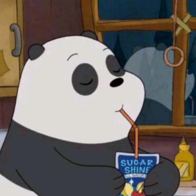 狸猫