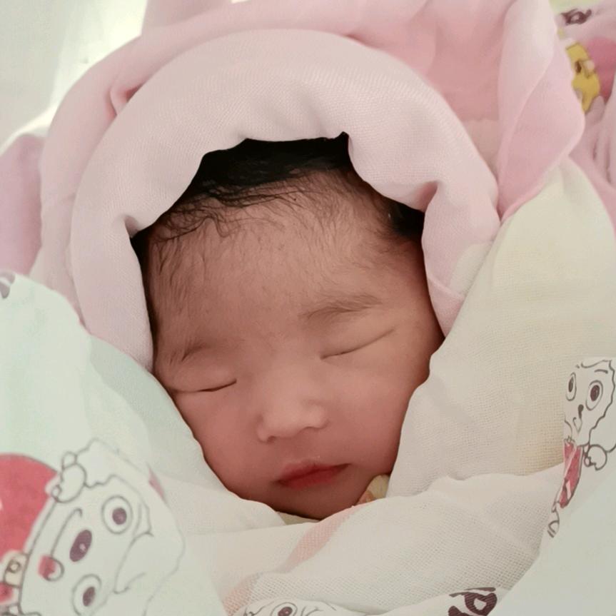 宏才远志