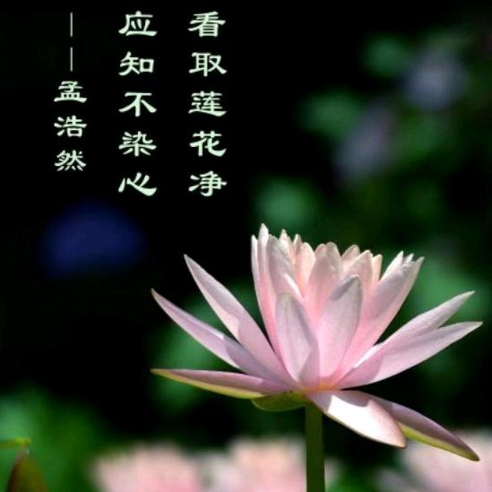 瑞坤