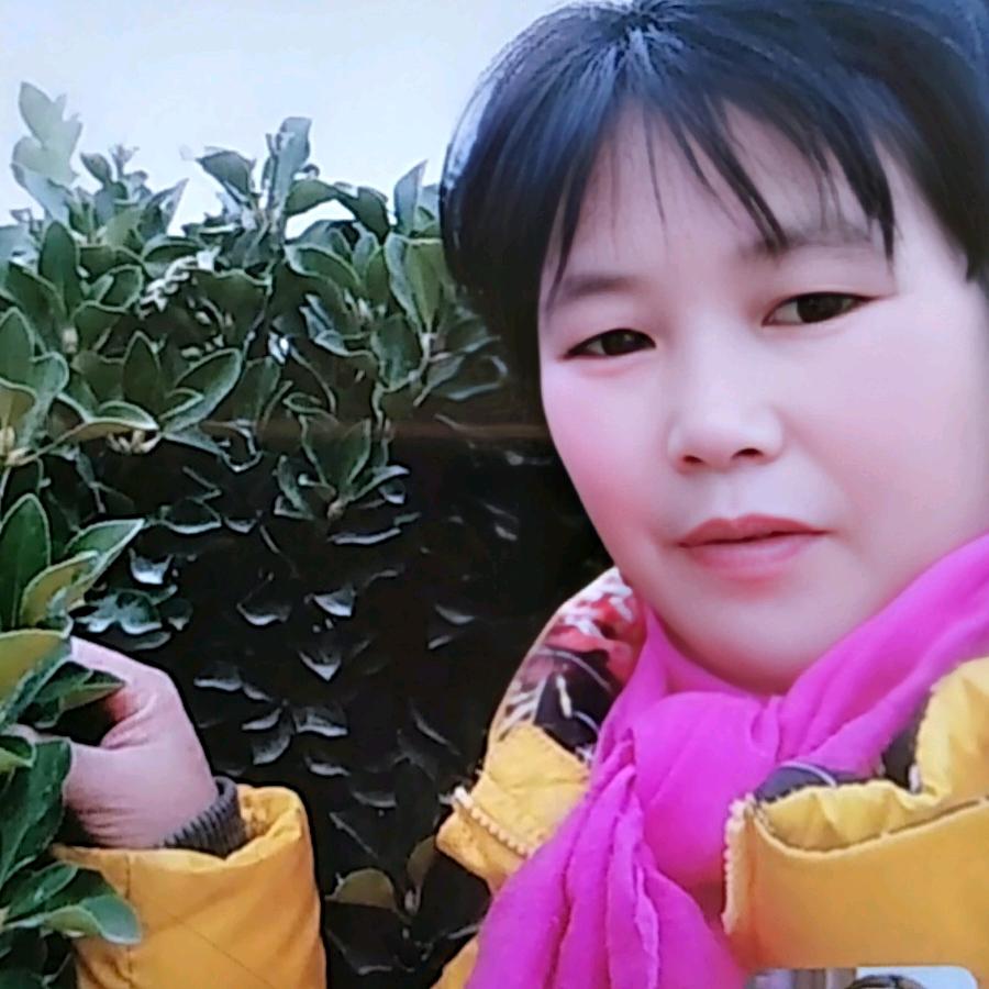 @刘姐