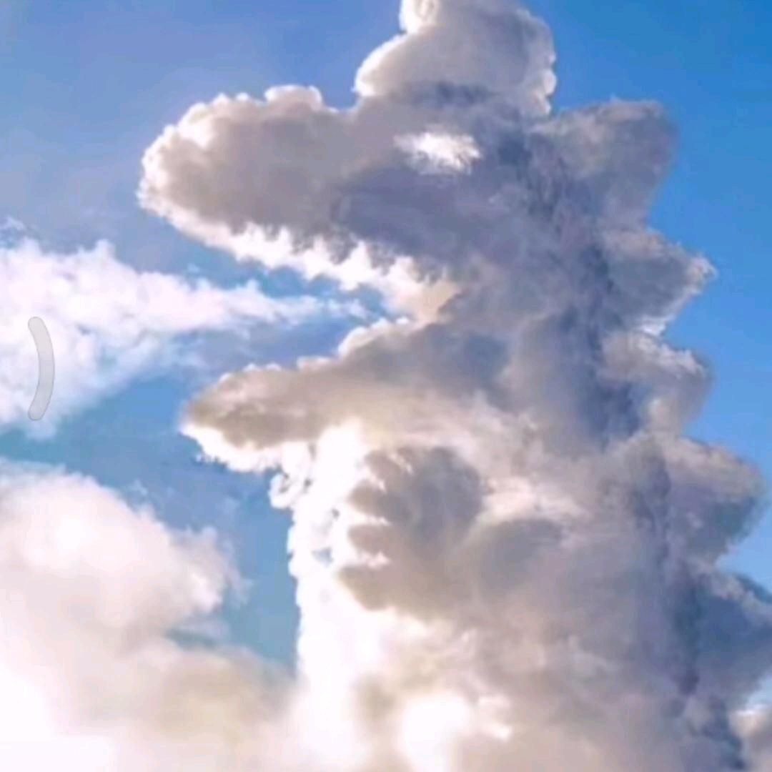 国家特级保护废物