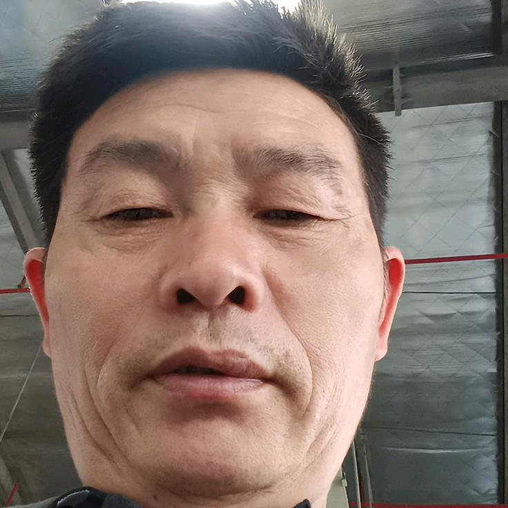 曾子朋