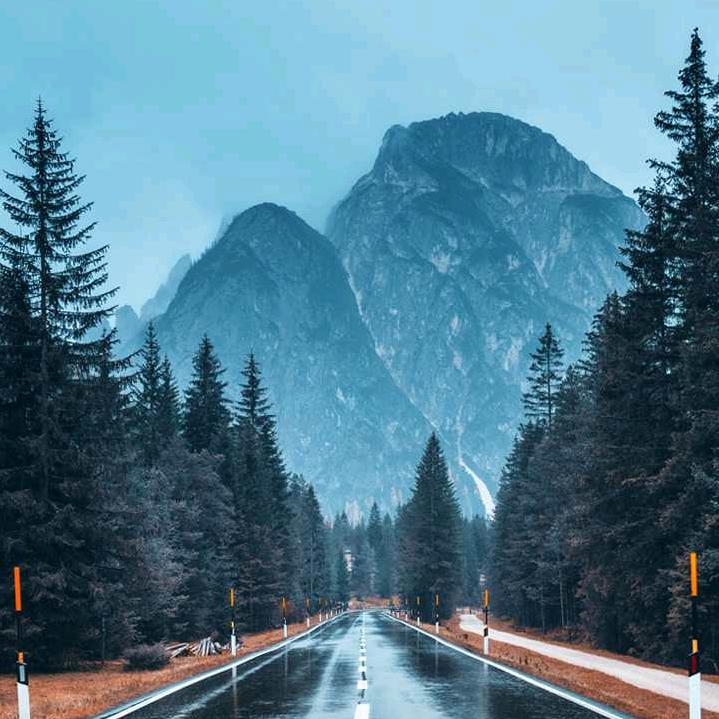 蓝鲸