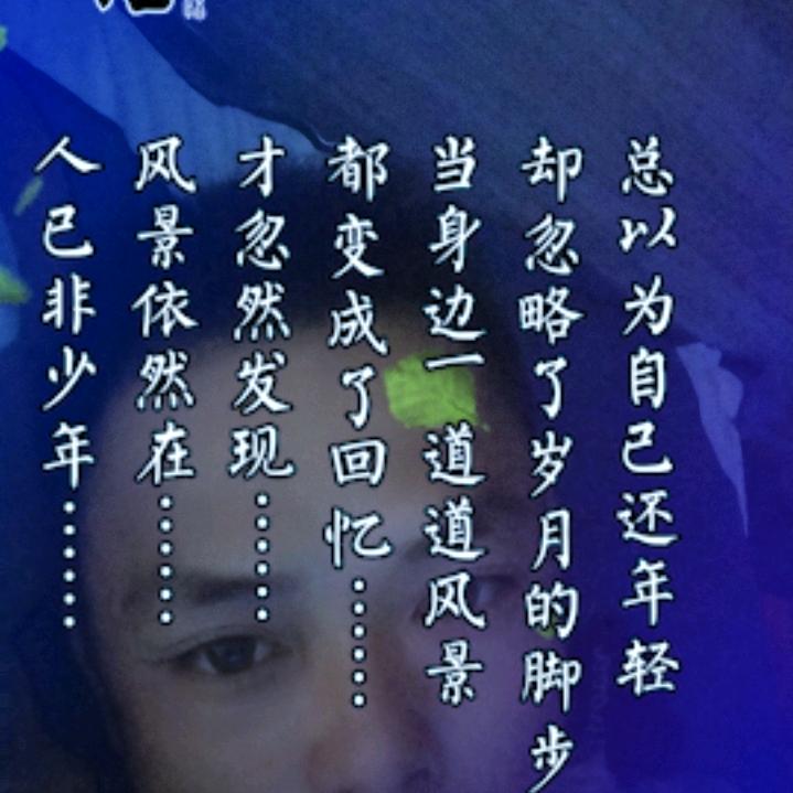 幻影孤狼