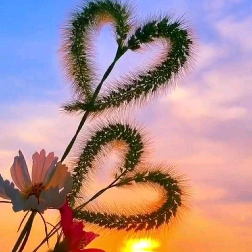 🌈兜里半颗🍬🌈