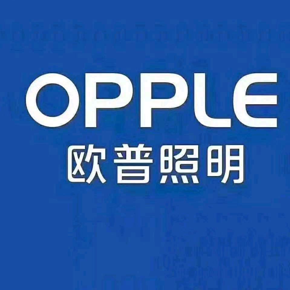 欧普照明(社旗店）