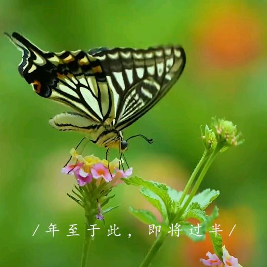 ღ᭄ꦿ꯭回不去დ᭄的꧔ꦿ从前℘⸙