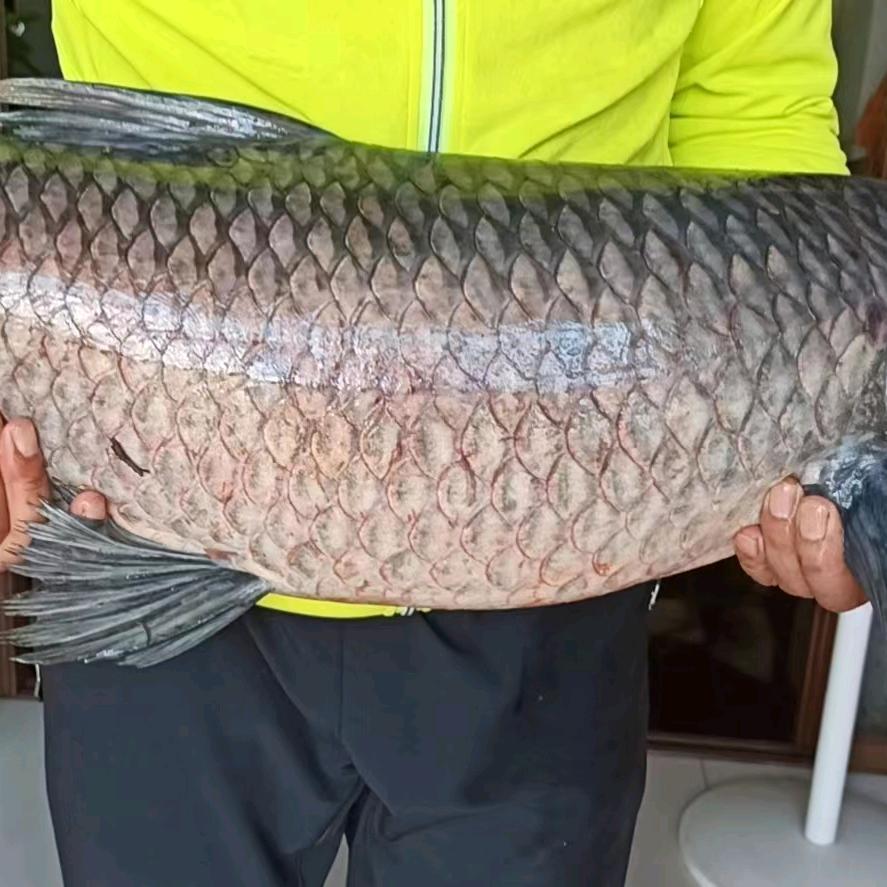 绍兴超哥渔具用品