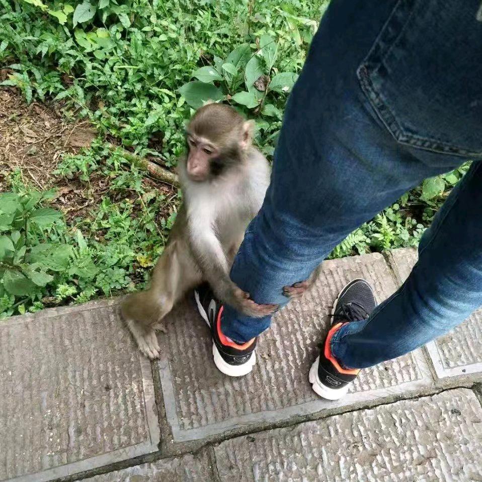 杨🐉林头像