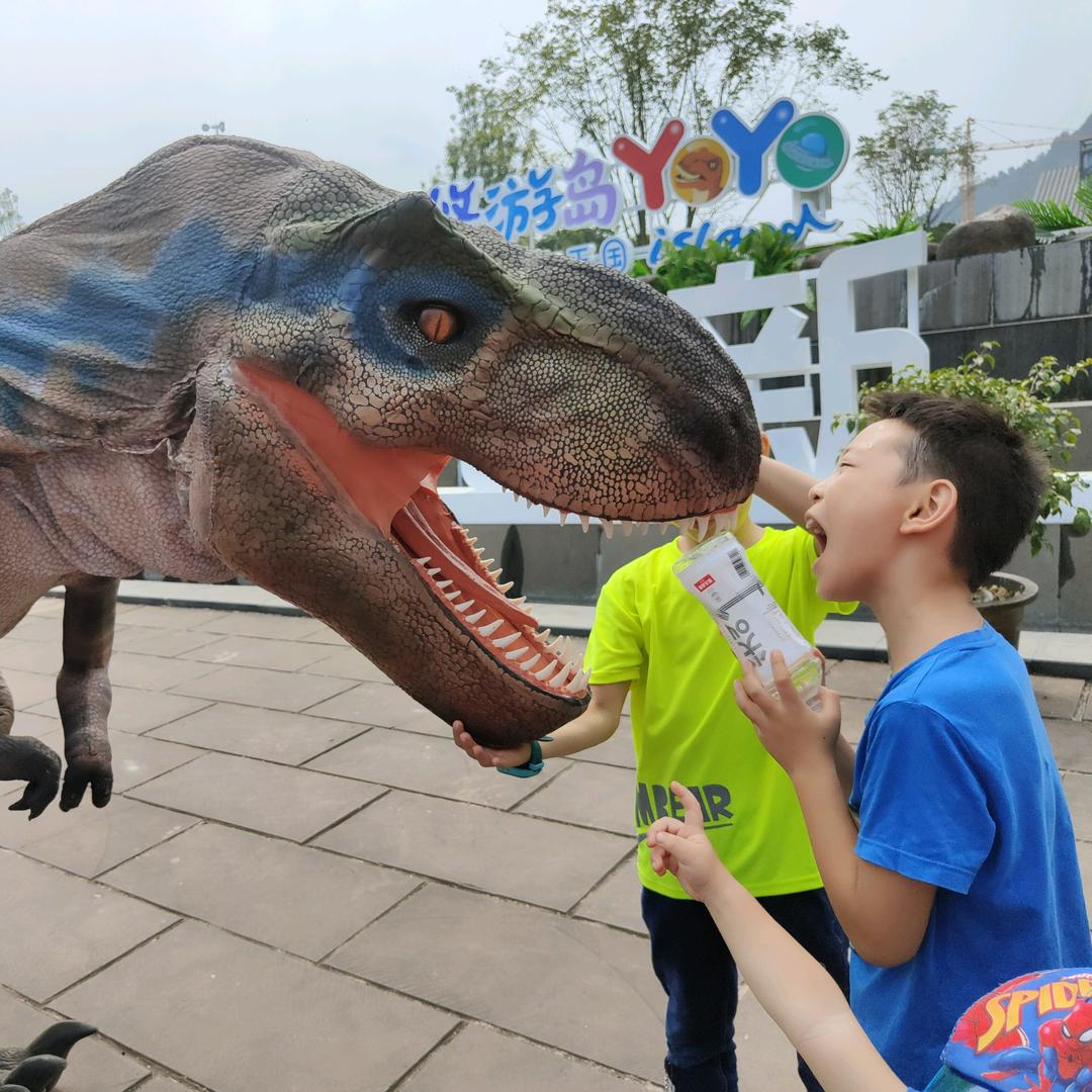 街子悠游岛福利来啦