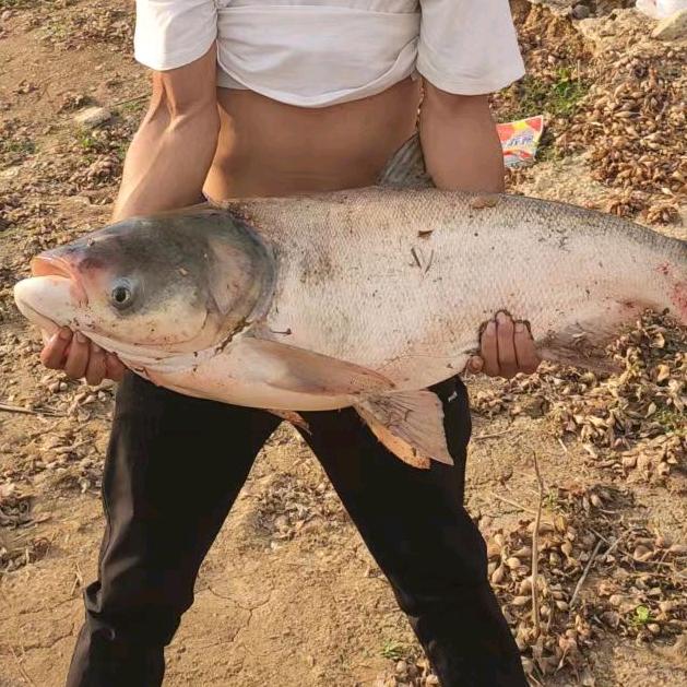 浪迹天涯—孤勇者