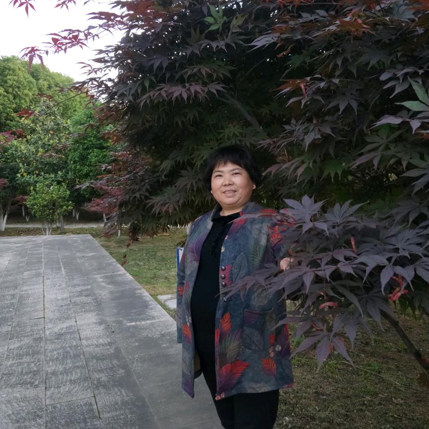 四季平安