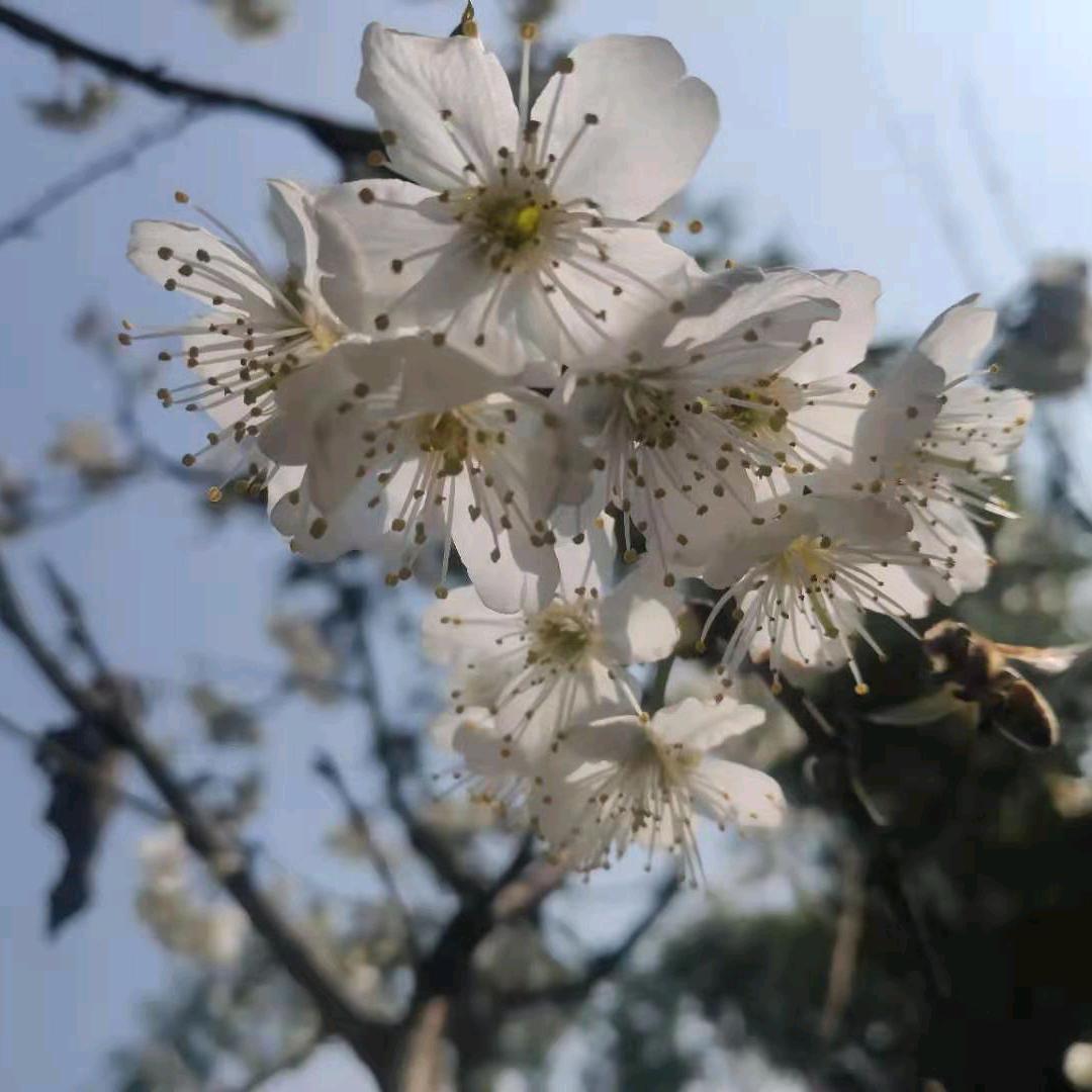 ঞᩚ᭄兜里💞半颗糖