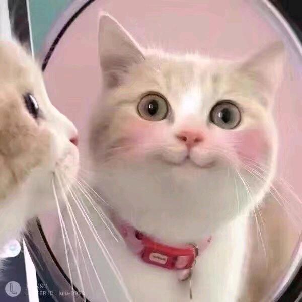 三七