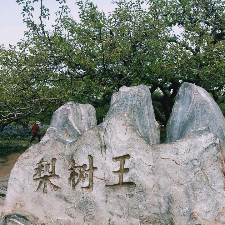 陈老师书法课堂（招生）