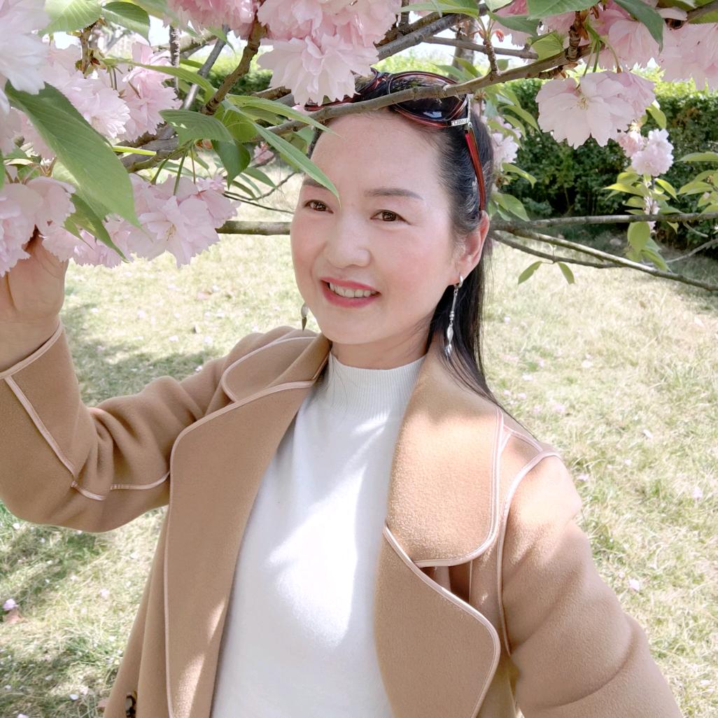 樱花下的浪漫
