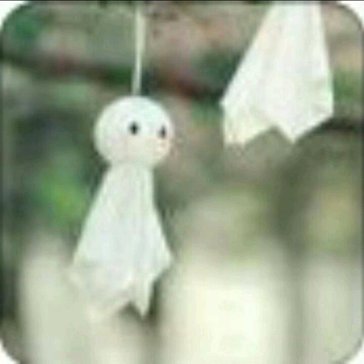 湫兮如风❤❤❤