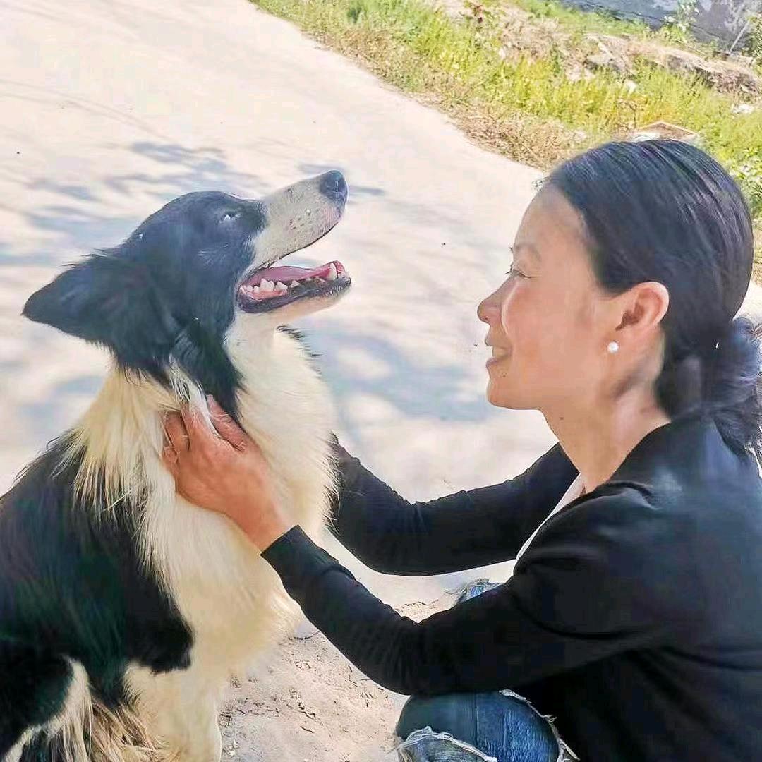 流浪狗之家涛姐