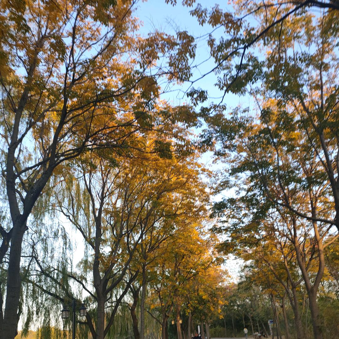 幸福式理想