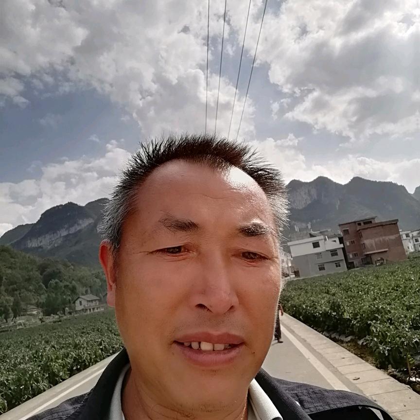单:汉
