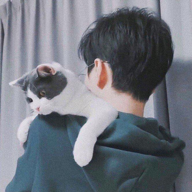 献给Stefan的银河星屑✨