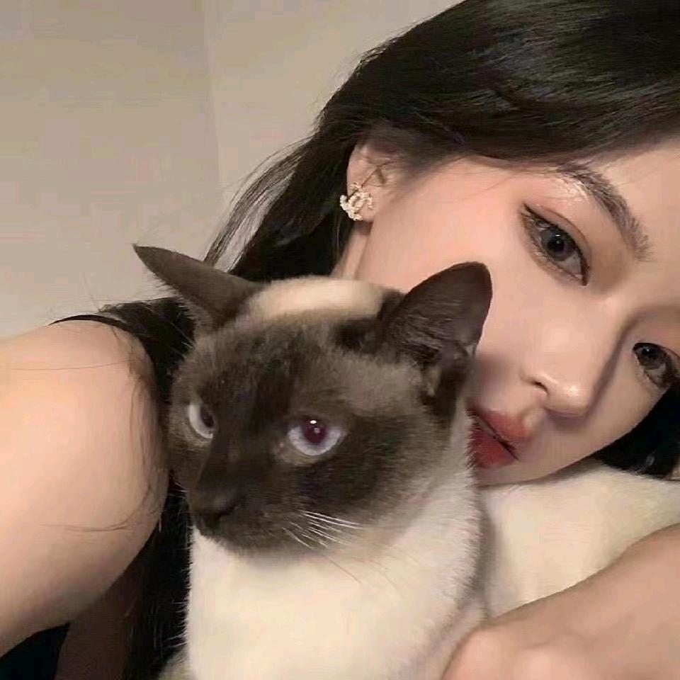 玲  💗 寶