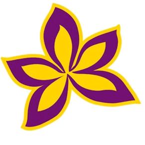 紫荆花运营中心，朱绍军
