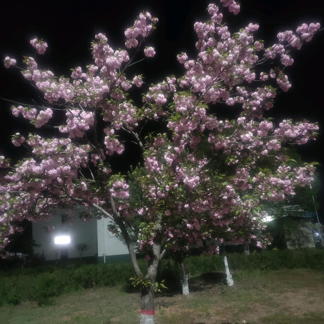 ☞独行者☜^O^
