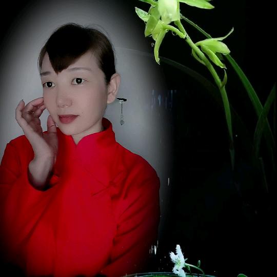 霞指舞