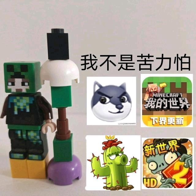 仙人掌的梦想大号
