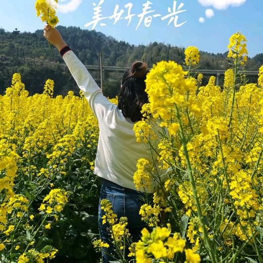 一路顺风