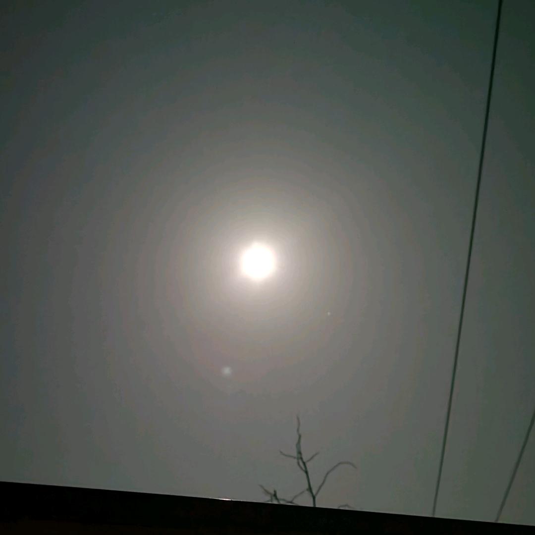 小磊
