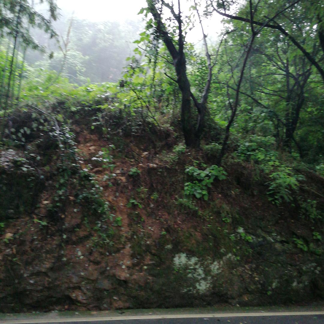 财源滚滚滚来。